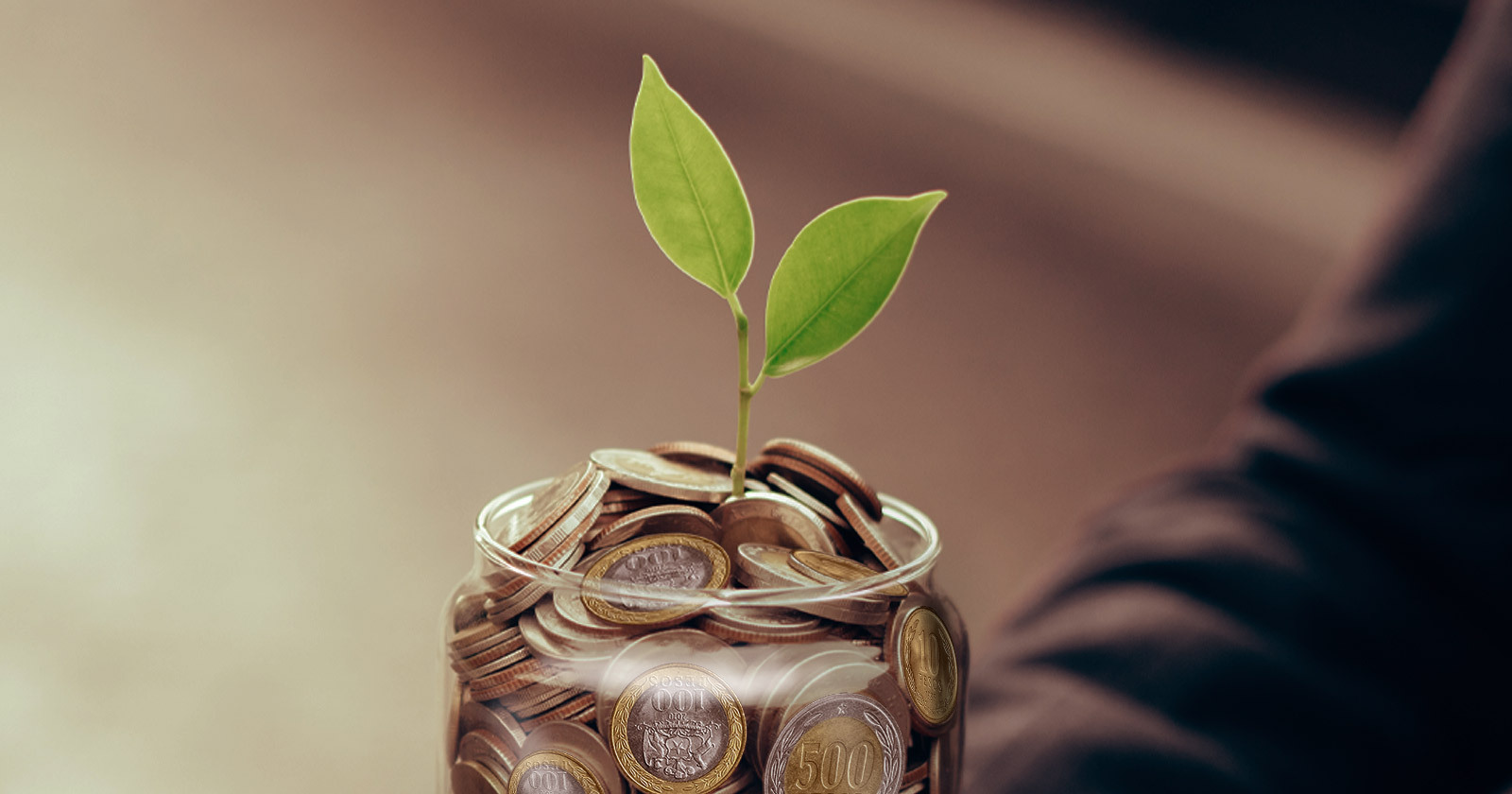 ¿Qué son las Cuentas de Ahorro?